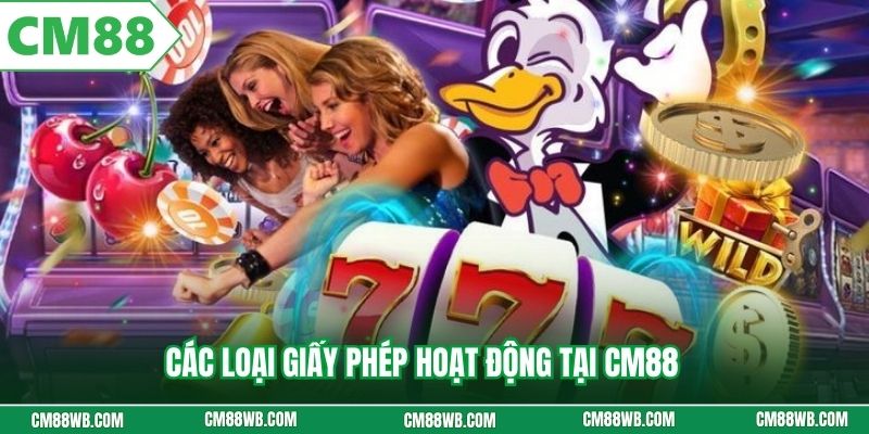 Các loại giấy phép hoạt động tại CM88