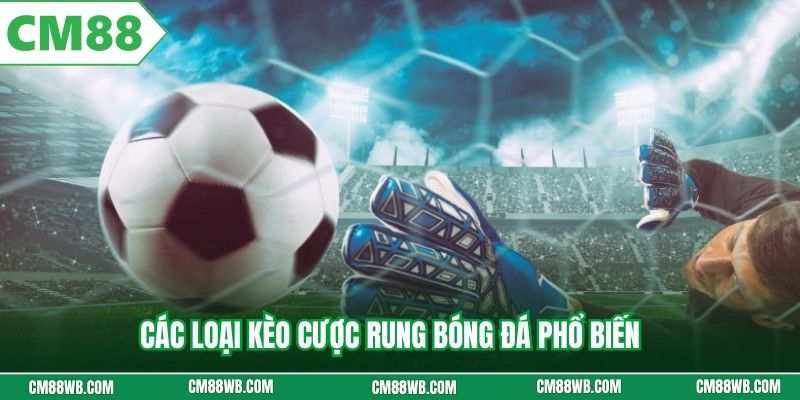Các loại kèo cược rung bóng đá phổ biến