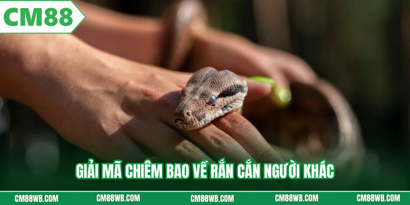 Giải mã chiêm bao về rắn cắn người khác