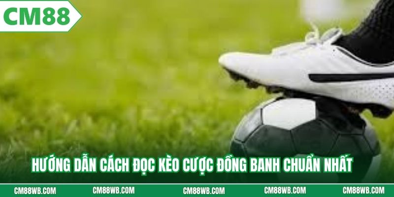 Hướng dẫn cách đọc kèo cược đồng banh chuẩn nhất