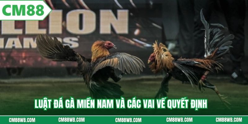 Luật đá gà miền nam và các vai vế quyết định