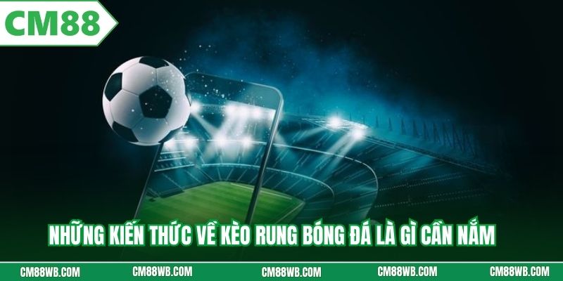 Những kiến thức về kèo rung bóng đá là gì cần nắm 
